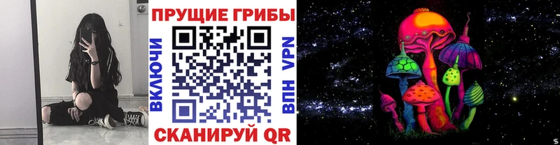 Псилоцибиновые грибы мицелий  продажа наркотиков  Красноярск 